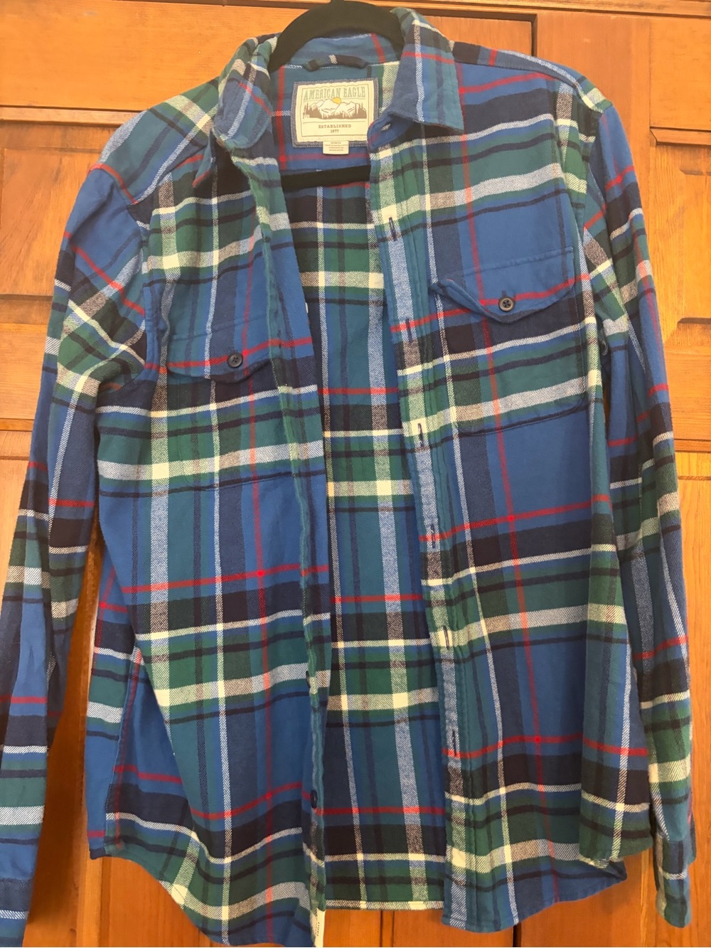American Eagle Outfitters Blue & Green Plaid Button-Down Shirt